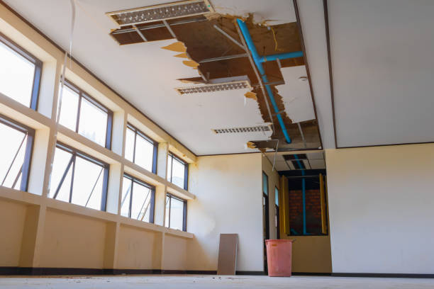 Best Water damage restoration experts  in Rushvle, IL