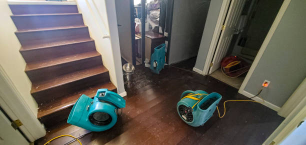 Best Commercial water damage restoration  in Rushvle, IL