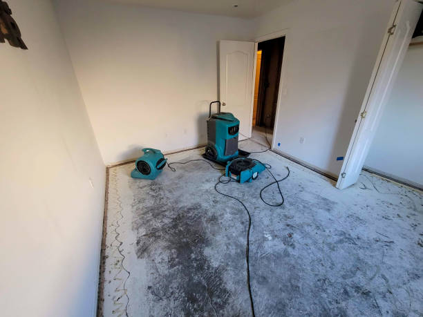 Best Water damage cleanup near me  in Rushvle, IL