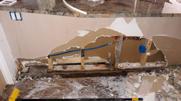 Best 24/7 water damage repair  in Rushvle, IL