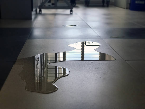 Best Emergency water damage restoration  in Rushvle, IL