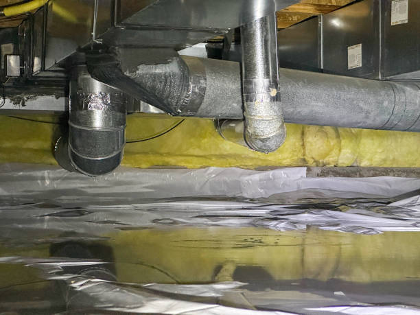 Best Water damage restoration services  in Rushvle, IL