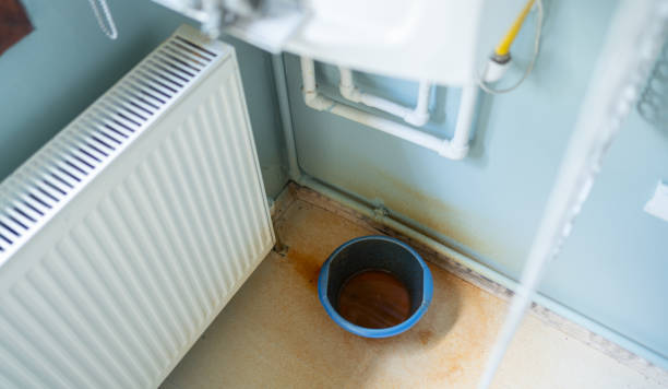 Best 24-hour water damage restoration  in Rushvle, IL